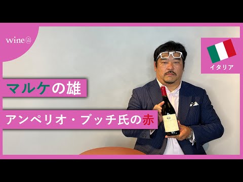 【マルケの雄が魂込めた赤ワイン】ヴィッラ・ブッチ / ロッソ・ピチェーノ（イタリア）