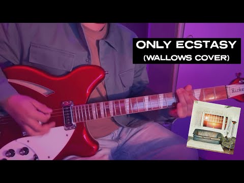 Only Ecstasy - Wallows Cover