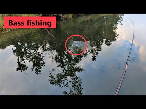 Taking a break for bass fishing! Top water bass fishing!