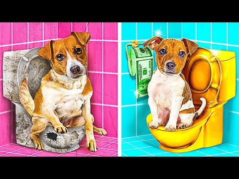 Millionaires Adopted a Poor Dog! 🐶 *HOW TO SNEAK PETS* La La Life Emoji