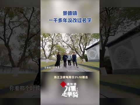 #万里走单骑 景德镇的瓷器精美得让人惊叹！ #zjstvdocumentary