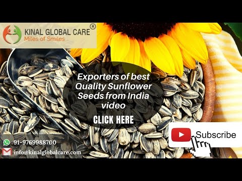 Sunflower Seeds Exporters From India