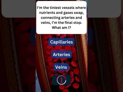 Learn About Your Blood Vessels! 🌐 #HumanBodyFacts 3