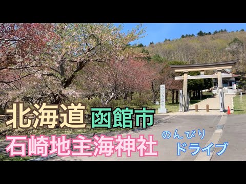 【函館市】5月6日、ちょっと早い？遅い？綺麗な桜見れず。石崎地主海神社（いしざきじぬしかいじんじゃ）北海道ドライブ動画。大森浜・啄木小公園から