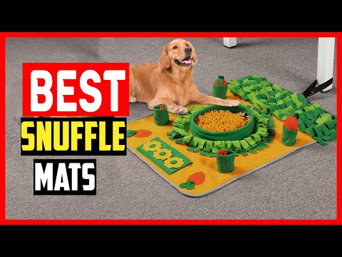 ✅Top 5 Best Snuffle Mats For Dogs 2024