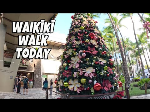 Waikiki Walk Today | Kalakaua Ave | Saratoga Road | Eggs N Things | Treadmill December 12, 2024