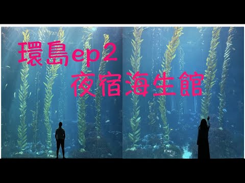 跟著榮美夜宿海生館ep.2 發現了海生館的大秘密【台灣旅遊】#偽蜜月 #環島