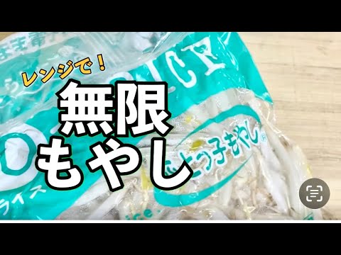 レンジで【無限もやし】