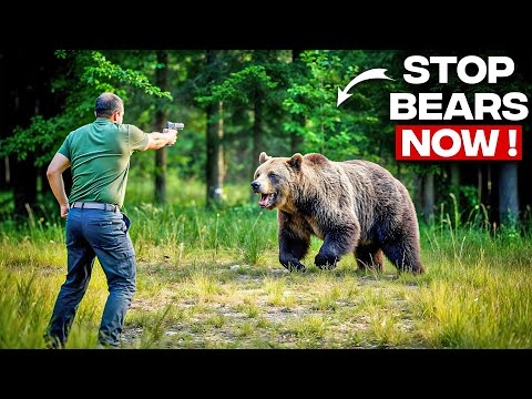 Best Bear Defense Handguns 2024: Best Handguns for Your Safety Outdoors!