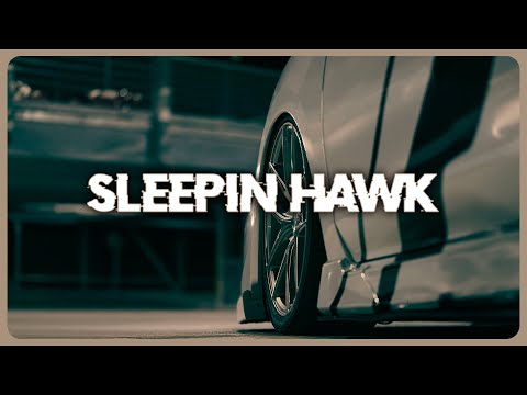 ranoch - sleepin’ hawk