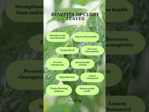 Benefits of curry leaves/promote hair growth/purify hemoglobin