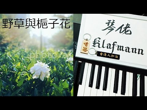 林三七 - 野草與梔子花 [鋼琴 Piano - Klafmann]