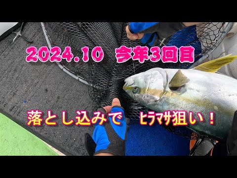 Drop fishing (boat fishing) (aiming for bluefish, yellowtail amberjack) (off the coast of Goto, Naga