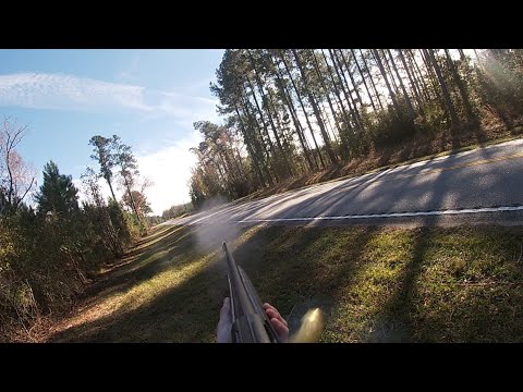 SC Deer Dog Drives 11/21/2022 & 11/22/2022: Jackson gets him a Thanksgiving Deer.