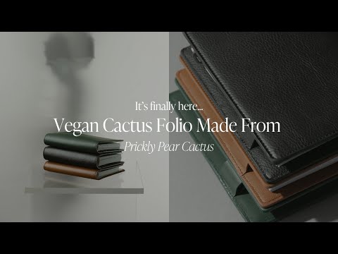 Unbox our Cactus Leather Planner Cover with Us | Cloth & Paper