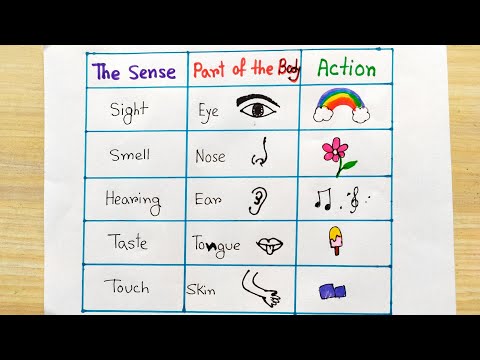 Five Sensor organs easy idea | How to know sense organs easy | Sensory organs idea