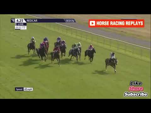 Stormy Pearl / 5 Race Redcar 31 Jul 2024