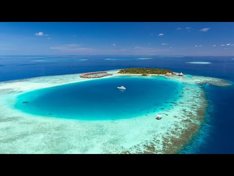 Exploring an imperfect reef in the Maldives