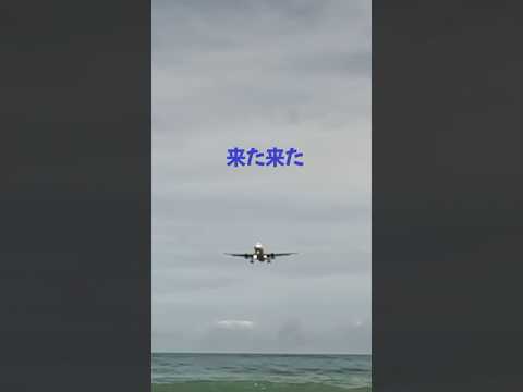 50代おんなひとり旅 タイ🇹🇭プーケット 頭上の飛行機が見たくてここまでやって来た#shorts #空港