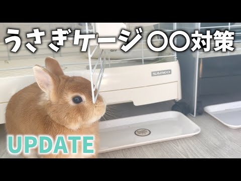 うさぎケージを少しアップデートしました。【ネザーランドドワーフのコッペ】