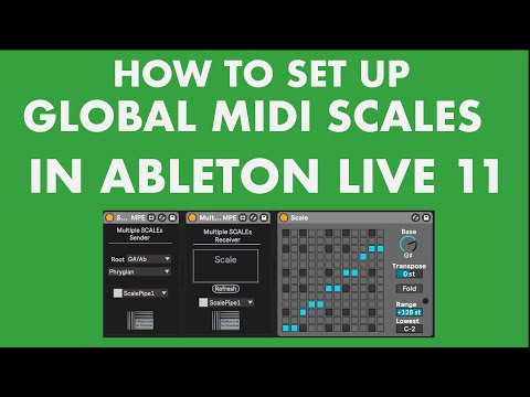 How to set up a global MIDI scale in Ableton Live 11- Scale Awareness for Ableton Live 11