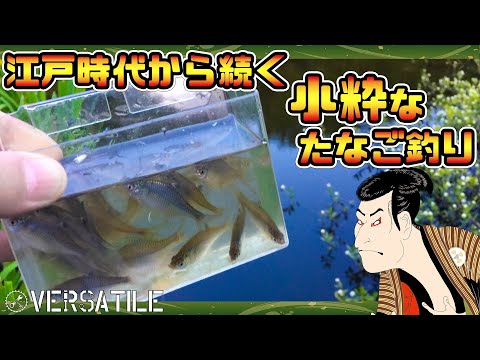 あえて小さいを楽しむ！小粋なタナゴ釣り！