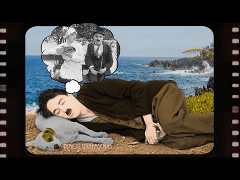 Oldies playing on a beach while you are taking a nap (ocean waves w/ birds, seagulls 3 HOURS ASMR v2