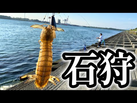 【北海道】【釣り】石狩でシャコが開幕‼️シャコったら大漁だった！！