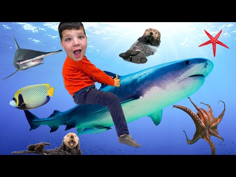 Caleb Visits the SEATTLE AQUARIUM, Talks to a Sea Lion, Touches an Octopus and Learns with Mom!