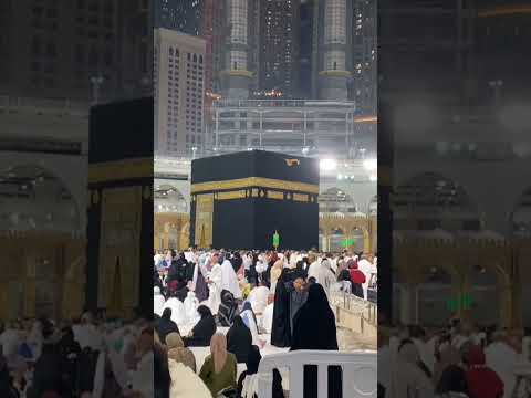 Mecca/ Makha Pak/ subhanallah mashallah #shorts #shortvideo #makkah #allah #religion #pigeon