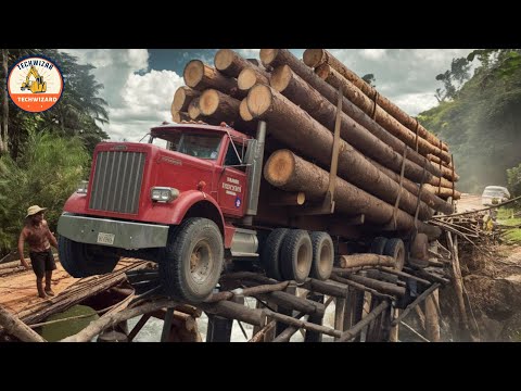 Giant Logging Trucks in Action, Witness the Extremely Dangerous Hands #59