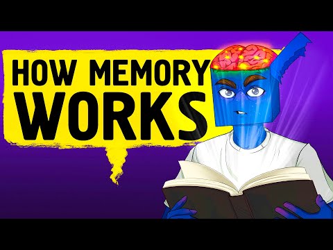 Inside Your Brain: How to Unlock Your Memory's Full Potential