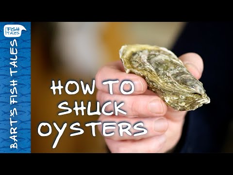 How to shuck/open OYSTERS | Bart van Olphen