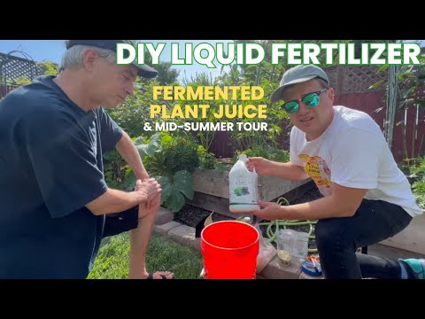 Easy & Free Liquid Fertilizer Made in Days. Fermented Plant Juice Recipe