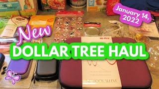 New DOLLAR TREE HAUL!  Fun New Finds! January 14, 2022 #leighshome