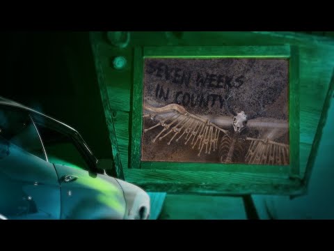 Billy Strings - Seven Weeks In County (Official Lyric Video)