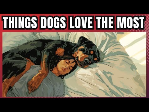 15 Scientific Ways To Make Your Dog Love You