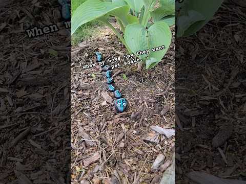 Budget Friendly Pet Snake Doubles as Rodent Control #gardenfun #petrock #craftymom