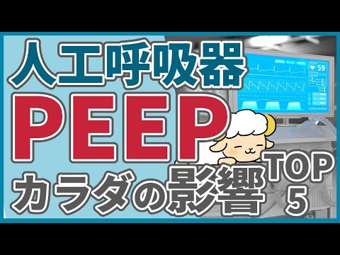 【今さら聞けない】人工呼吸器・PEEPでのカラダへの影響5選