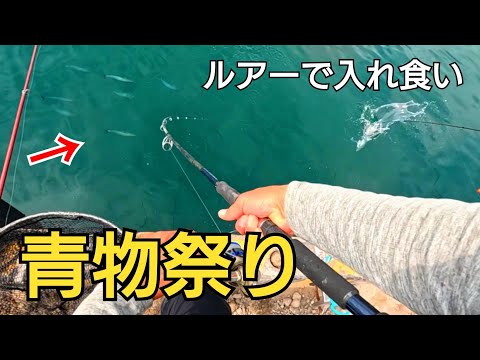 噂の【ソウダガツオ】祭りがヤバ過ぎた!!表層一面青物で釣り堀状態！