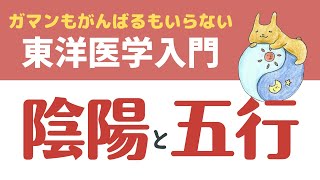 陰陽と五行の基本【東洋医学入門】～キホンのキ～