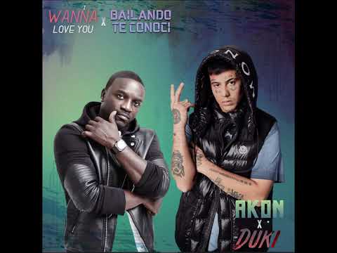 DUKI X AKON - I Wanna Love You (Audio) (Mashup)