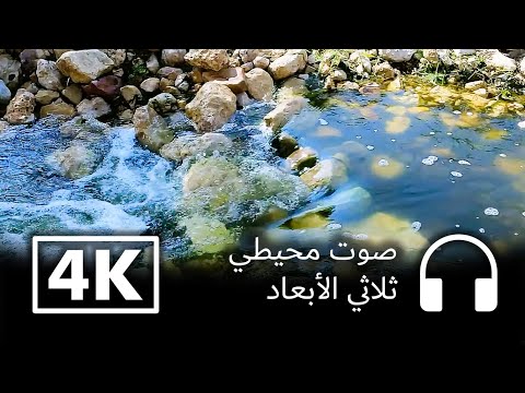 أصوات مريحة نفسيا - خرير الماء وزقزقة العصافير عند شروق الشمس على وادي حنيفة بدون موسيقى