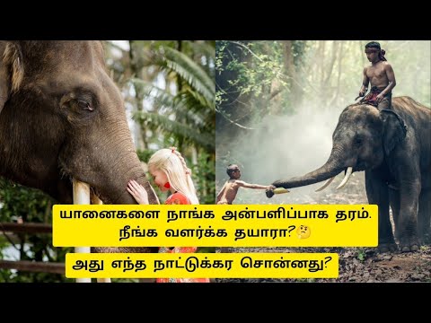 யானைகளை விற்கும் ஜிம்பாப்வே நாடு...