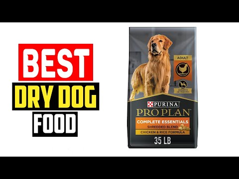 ✅Top 5 Best Dry Dog Food in 2024