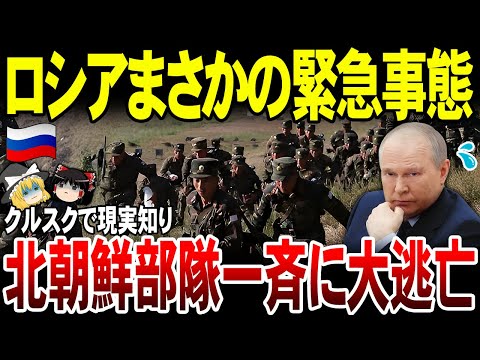 【ゆっくり解説】ロシアで悲惨な現実知った北朝鮮軍部隊が一斉に逃亡へ！