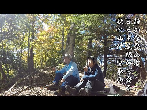 【テント泊登山】雲取山ヨモギ尾根から登るも道間違い！紅葉見ながら静かな尾根歩き