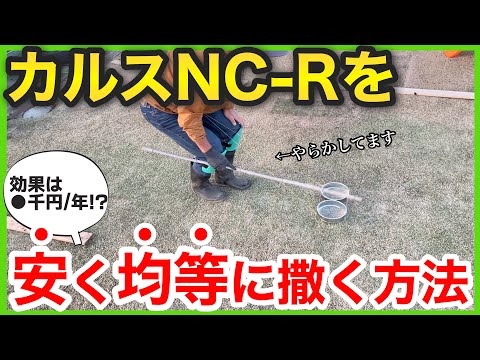 【ぬカルス作戦】カルスNC-Rを芝生に安く均等に散布する方法【コタココ】