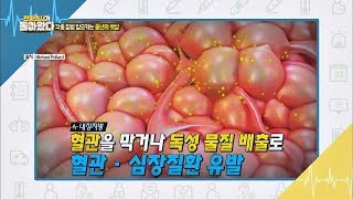 중년 뱃살 늘리는 '내장 지방' →  대사 질환의 원인 진짜 의사가 돌아왔다 37회