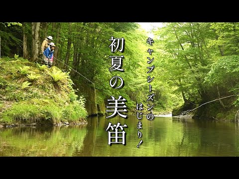 北海道にもやっと夏の気配が！初夏の美笛は新緑の季節。【美笛キャンプ場】は期待を裏切らない！